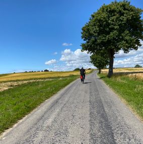 Cykelferie på Møn med ruter i det smukke landskab