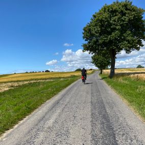 Cykelferie på Møn med ruter i det smukke landskab