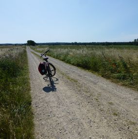 På cykelferien i Nordsjælland cykles i fredfyldt landskab